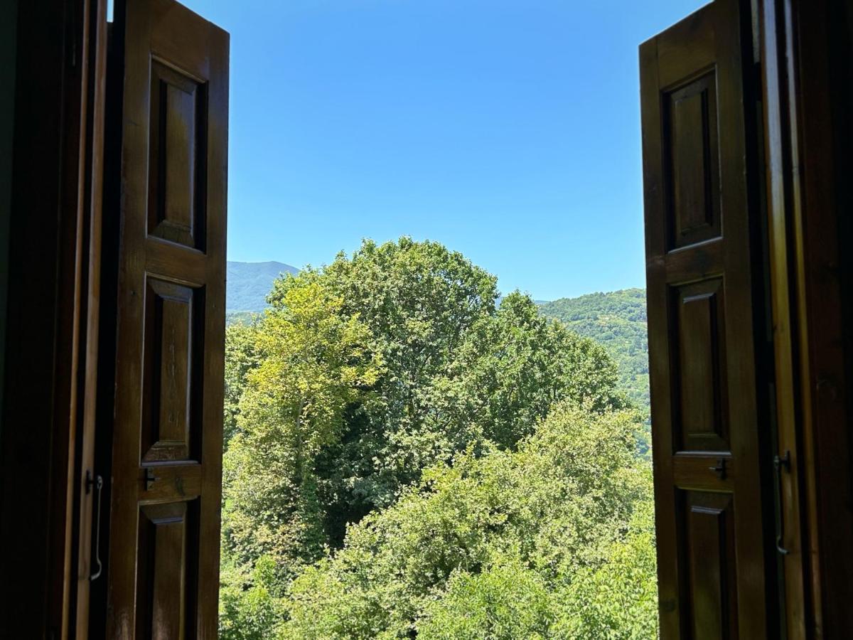 Λευκή Καμέλια Hotel Anilio Pelion Exterior foto